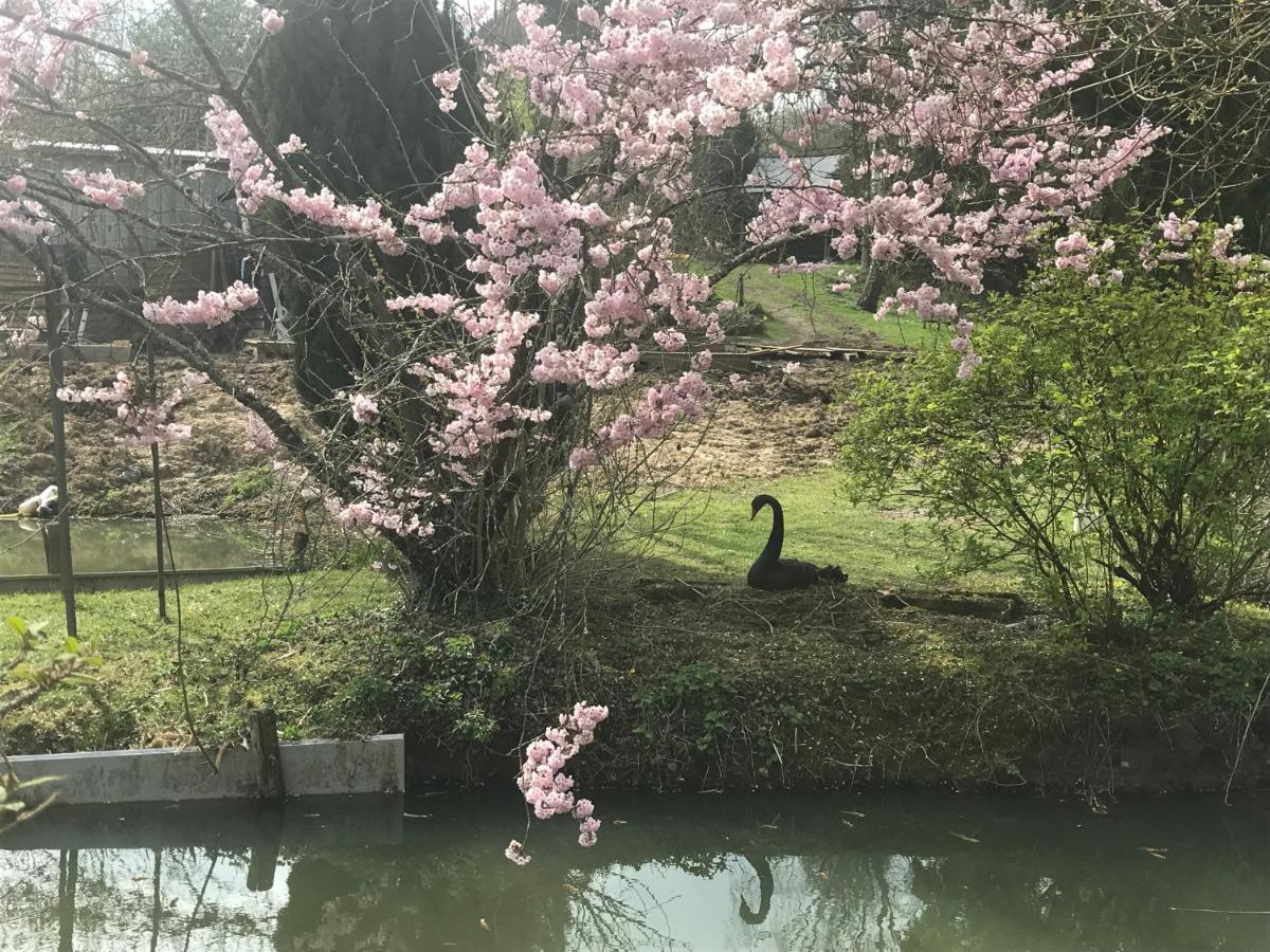 Le Moulin Calme Bed & Breakfast Luceau ภายนอก รูปภาพ